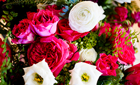 Wedding roses