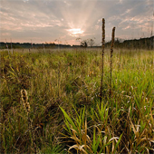 Sunset over a prairie