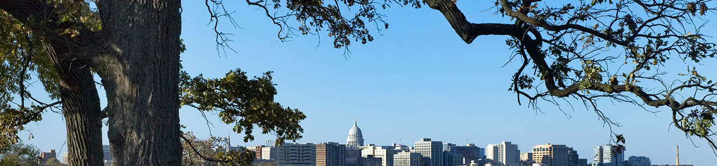 A look at the downtown Madison skyline with a tree in the foreground framing the view